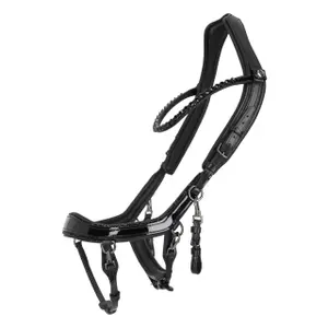 Bridles for horses Presteq FaySport Blackpearl