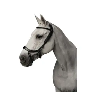 p700-zw-zaumzeug-reiten-presteq-faysport-schwarz