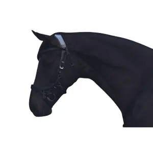 Têtière équitation Presteq Faysport image-3