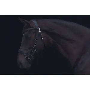 Sous-gorge Presteq image-3