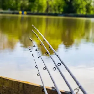 Cane Preston Dura Carp 11ft image-3