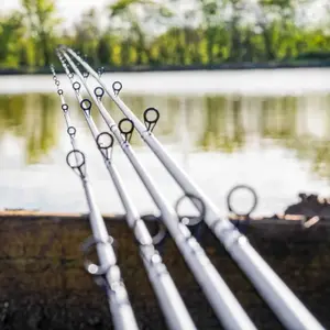 Cana Preston Dura Carp 10ft image-3