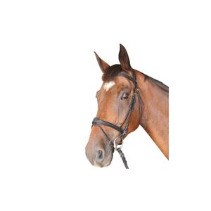 161122-noir-combined-riding-bridles-privilege-equitation-cabourg-black