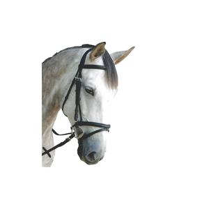 161123-marron-combined-riding-bridles-privilege-equitation-royan-brown