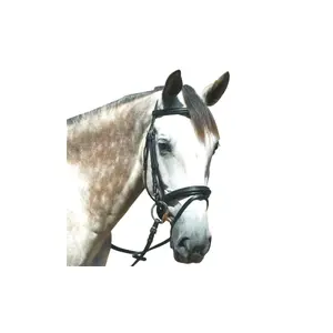 161133-noir-trans-for-ridning-privilege-equitation-le-touquet-svart