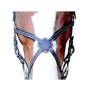 Kreuz-Reittrensen Privilège Equitation Cabourg image-0