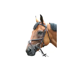 Cabeças cruzadas Privilège Equitation Royan image-0