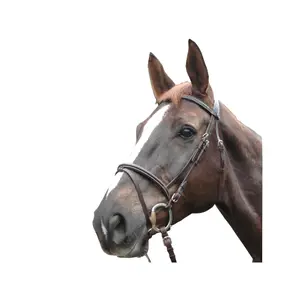 Cross bridles Privilège Equitation Deauville image-0