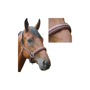 Λουρί για άλογο από πολυαιθυλένιο Privilège Equitation Royan image-1