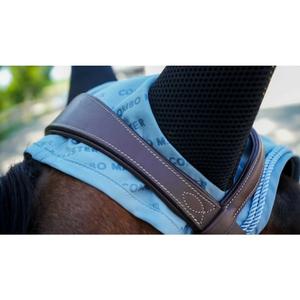 Fliegenhaube für kurzes Pferd Pro Series Combo Master image-4