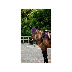 Fliegenhaube für kurzes Pferd Pro Series Combo Master image-2