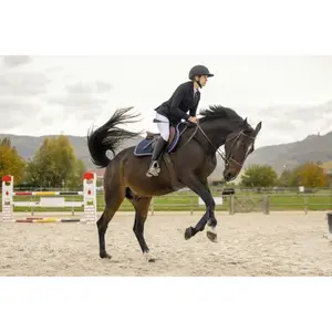 Rijdende blazer Pro Series Comptair image-6