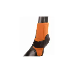 Neoprene horse boots Pro-Tech image-0