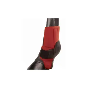 Neoprene horse boots Pro-Tech image-0