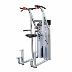 s2acd-2-kinn-trainingsgerat-dips-mit-unterstutzung-proclubline-series-ii-pile-de-poids-105-kg-grau-schwarz-160x111-8x223-5-cm