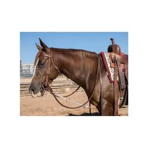 Riding headband Professional's Choice Yo Yo image-1