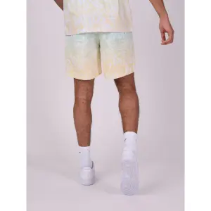 Pantalón corto degradados Project X Paris Graffiti image-4