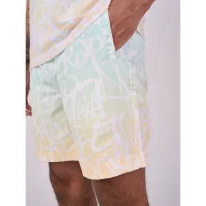 Pantalón corto degradados Project X Paris Graffiti image-3