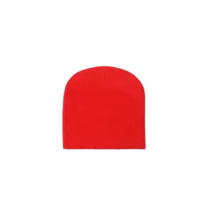 Bonnet Project X Paris Polaris image-1