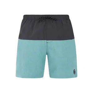 Custome da bagno uomo Protest Prtheli image-0