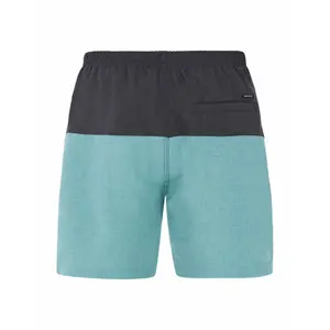 Custome da bagno uomo Protest Prtheli image-1