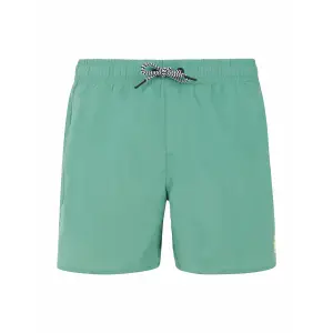 2810000-657-children-s-swimming-shorts-protest-culture-frosty-green