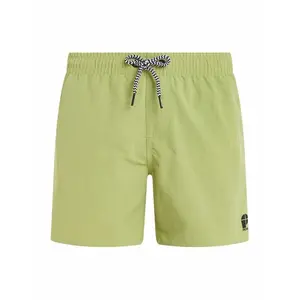 2810000-952-children-s-swimming-shorts-protest-culture-algaegreen