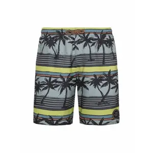 Children's beach shorts Protest Prtmaurits image-0