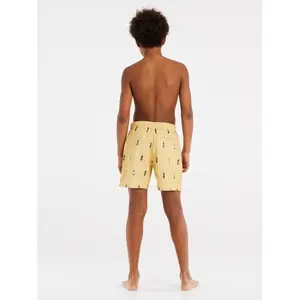 Children's beach shorts Protest Prtchris image-3