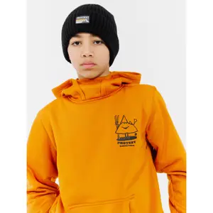 Sweatshirt à capuche enfant Protest Tincan image-6