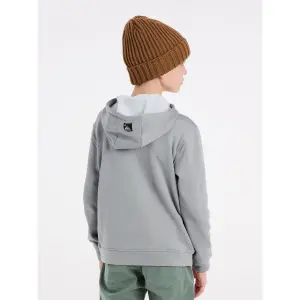 Children's hoodie Protest Prtkestrel image-3