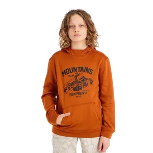 Children's hoodie Protest Prtkestrel image-1