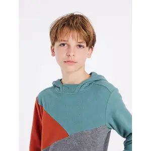 Children's hooded sweatshirt Protest Prtblits image-4