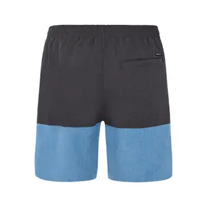Swim shorts Protest Freddie image-5