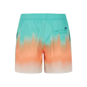 Swim shorts Protest Bowery image-3