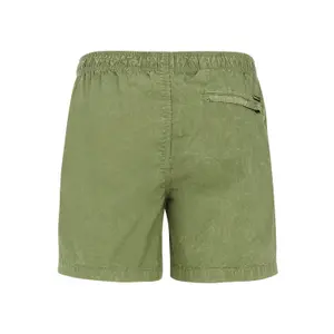 Badshorts Protest Raptor image-4