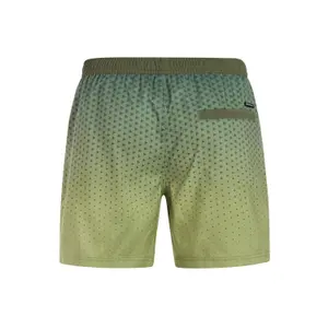 Swim shorts Protest Northaw image-1