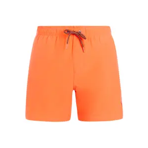 Swim shorts Protest Jayden image-0