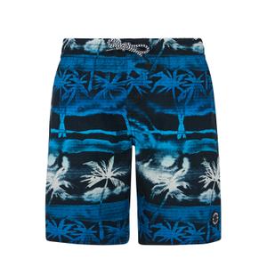 71851007-405-children-s-swimming-shorts-protest-stones-olympic-blue