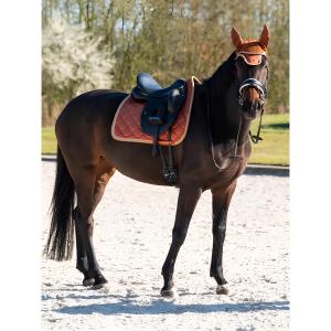Dressage saddle pad for horses PS of Sweden Stripe Jump image-4