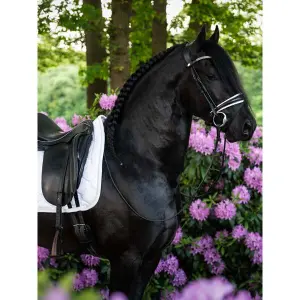 Estera de doma para caballos PS of Sweden Signature image-1