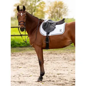 Springschabracke PS of Sweden Elite image-2