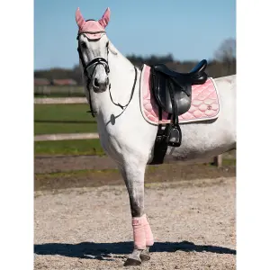 Bonnet pour cheval court PS of Sweden Vintage Monogram Ear image-2