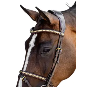 Riding bridle PS of Sweden Antwerp 2.0