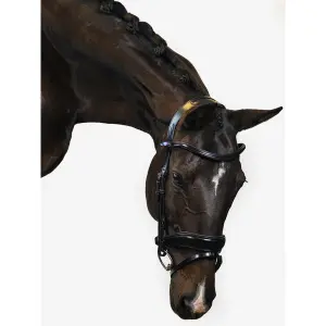 Riding bridle PS of Sweden Flying Change image-1