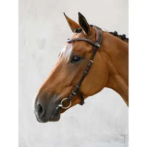 Riding bridle PS of Sweden Helsinki image-2