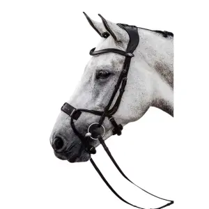 1210-007-995-ridtrans-ps-of-sweden-high-jump-svart-lader