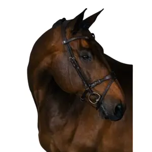 Riding bridle PS of Sweden Mary Lou By Henrik Von Eckermann