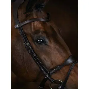 Riding bridle PS of Sweden Mary Lou By Henrik Von Eckermann image-1