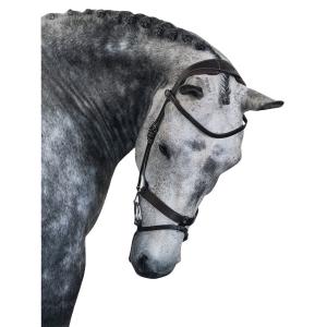 1210-010-995-riding-bridle-ps-of-sweden-london-black-leather